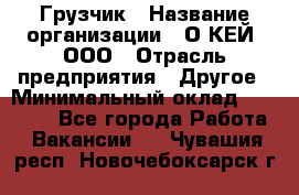 Грузчик › Название организации ­ О’КЕЙ, ООО › Отрасль предприятия ­ Другое › Минимальный оклад ­ 25 533 - Все города Работа » Вакансии   . Чувашия респ.,Новочебоксарск г.